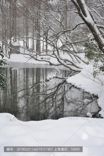 紫金山雪景
