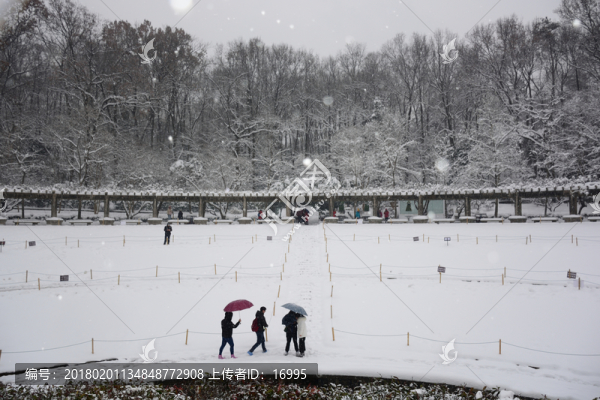南京中山陵音樂臺(tái)雪景