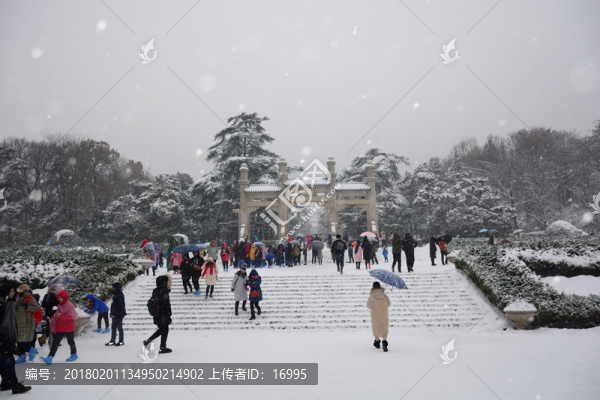 中山陵冬天景色