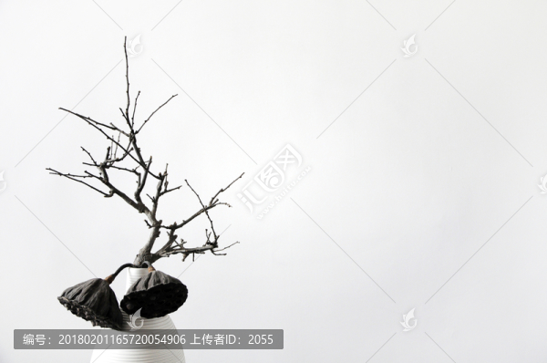 插花藝術(shù),枯樹枝
