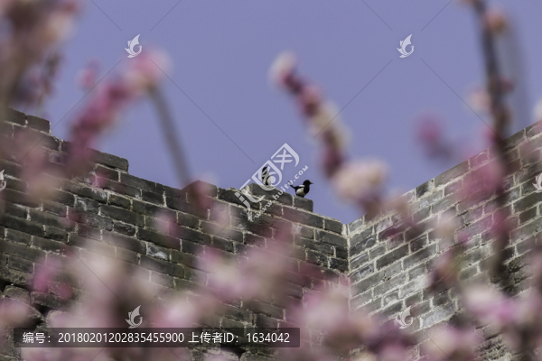 明城墻遺址梅花