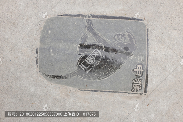 屬相