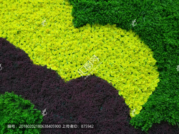 植物背景墻