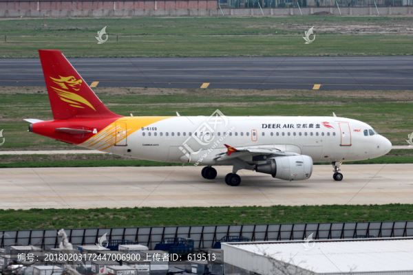 飛機(jī),民航,金鹿航空