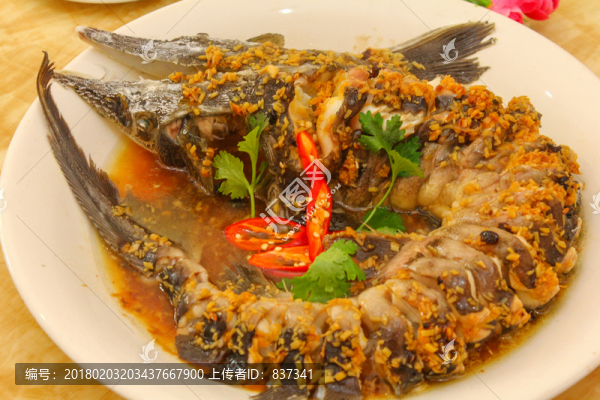 鱘龍魚(yú)