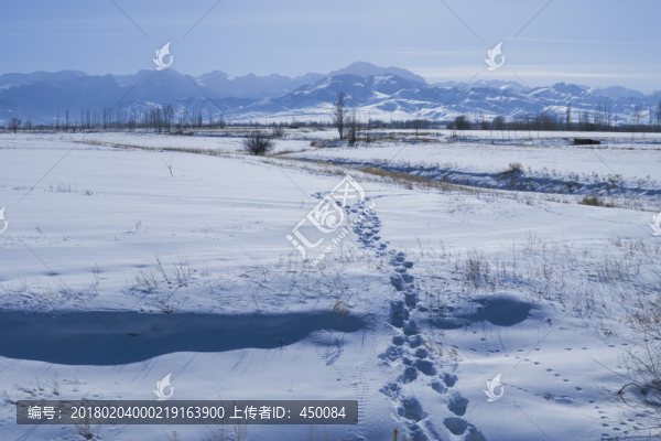 雪山腳下