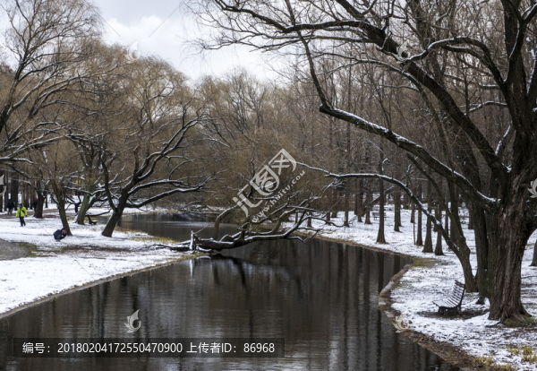 雪景