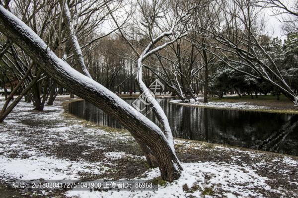 雪景