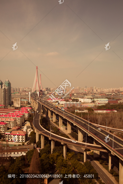 楊浦大橋