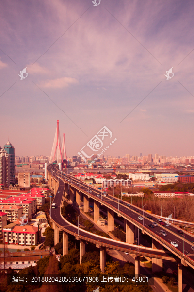 楊浦大橋