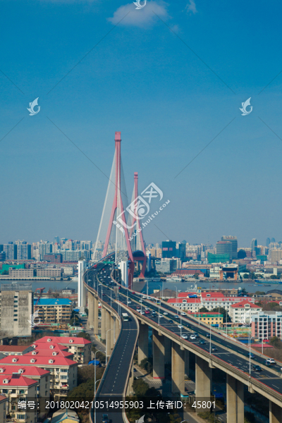 楊浦大橋