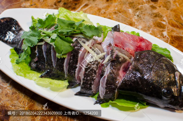 龍膽斑