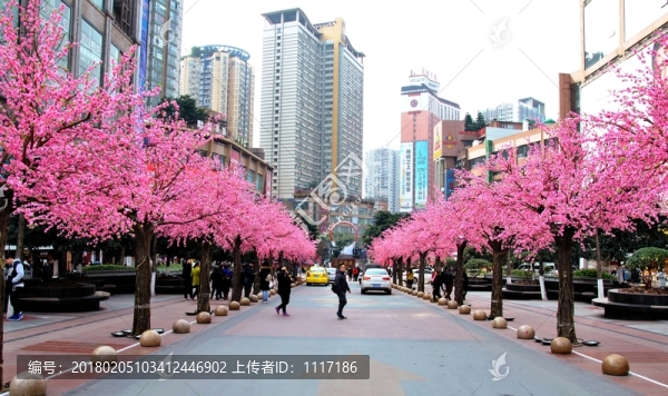 花簇中的沙坪壩步行街