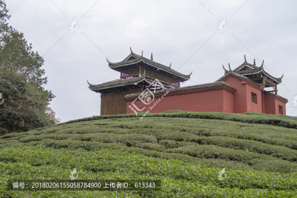 桐寨薩歲祠