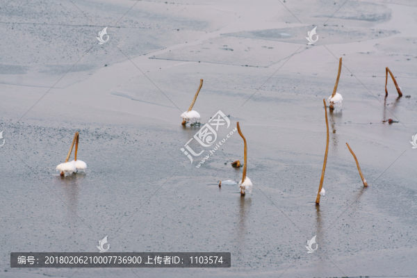 下雪之后的濟(jì)南大明湖,（22）