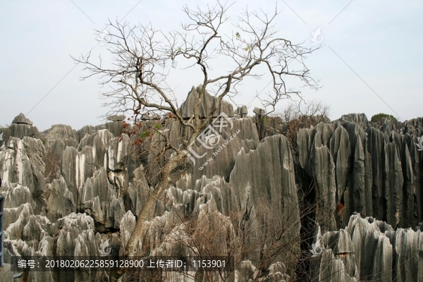 云南石林