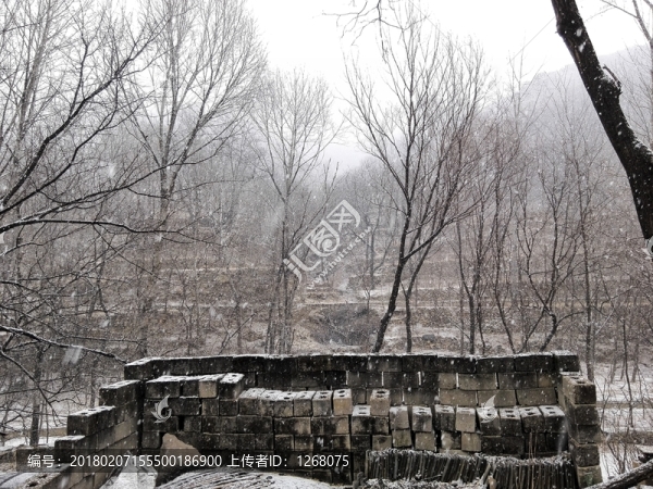 2015年的第一場雪