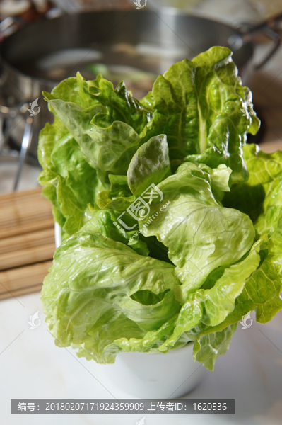 生菜