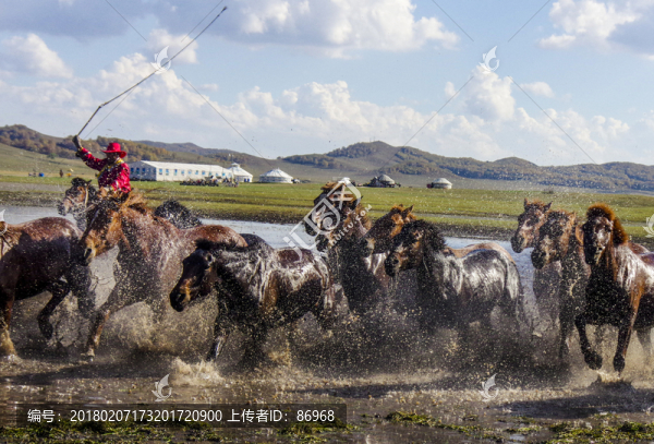 奔馬