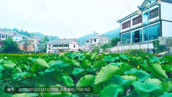 鄉(xiāng)鎮(zhèn)