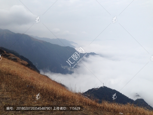 江西武功山云中高山草甸