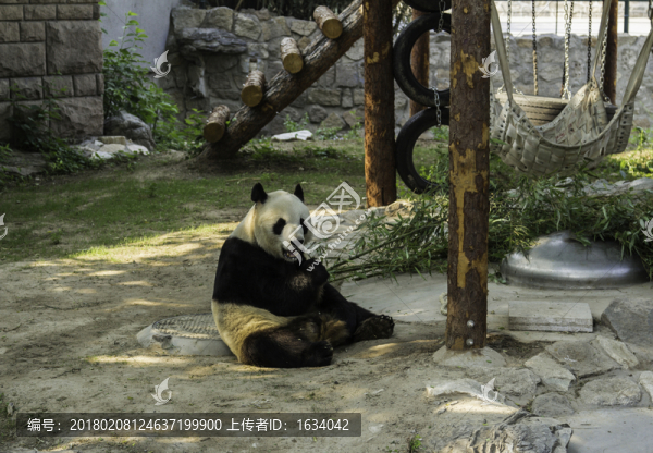 北京動物園熊貓
