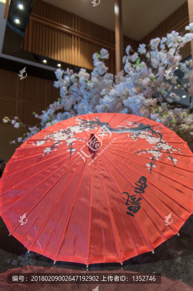 油紙傘和櫻花