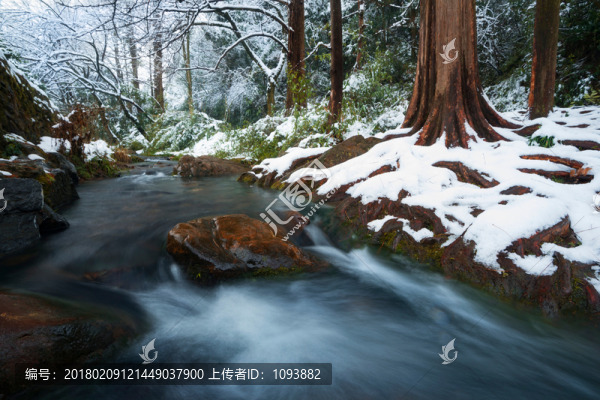 杭州九溪雪景