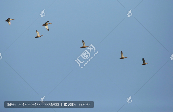 列隊(duì)出擊
