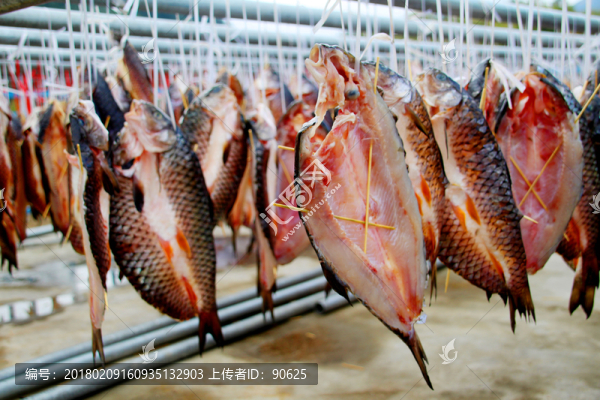 柘榮西坪大官魚干