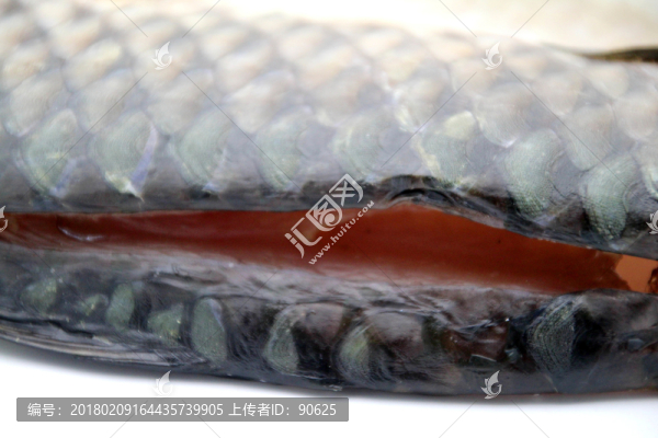 大官魚(yú)干