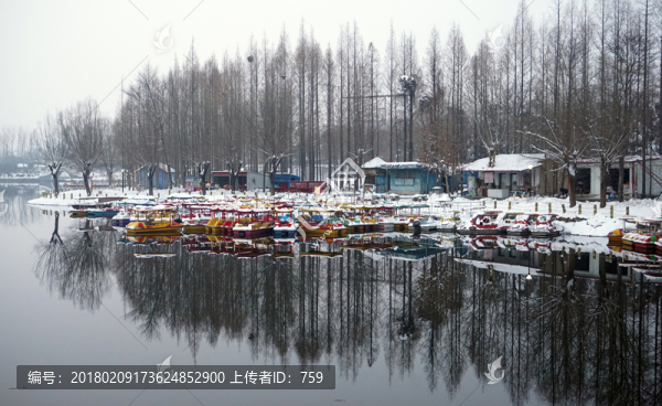 公園雪景