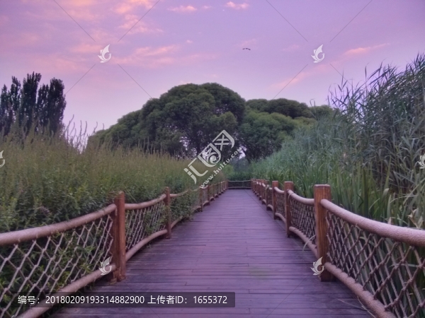 落霞與孤鶩齊飛