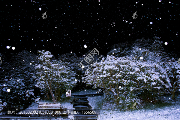 2014百里杜鵑