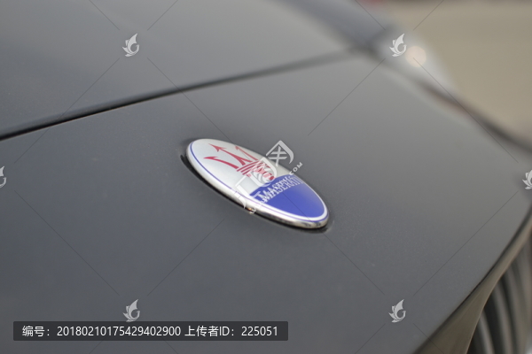 上海,博大車展