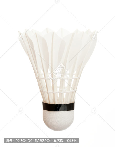一只白色羽毛球白底圖片