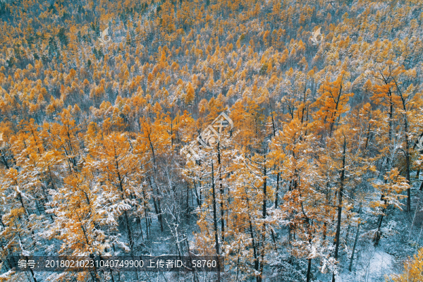 林海秋雪,航拍