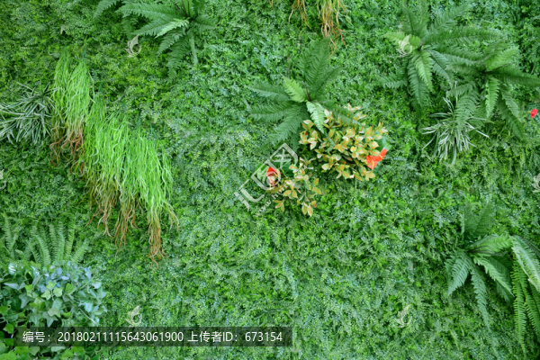 綠植墻