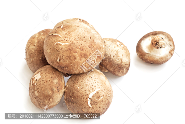 香菇