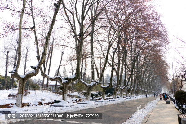 雪天道路