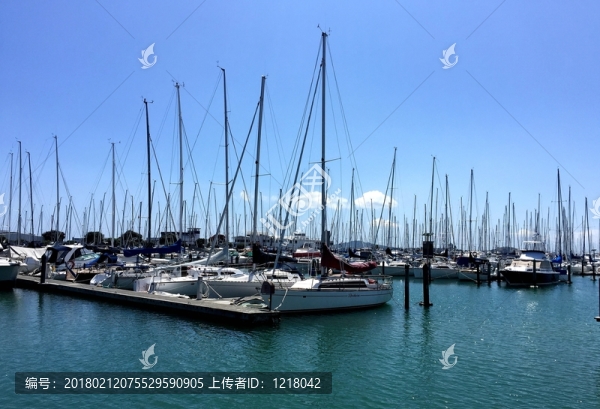 奧克蘭帆船俱樂部