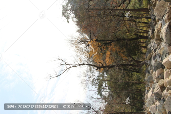 野外風(fēng)景