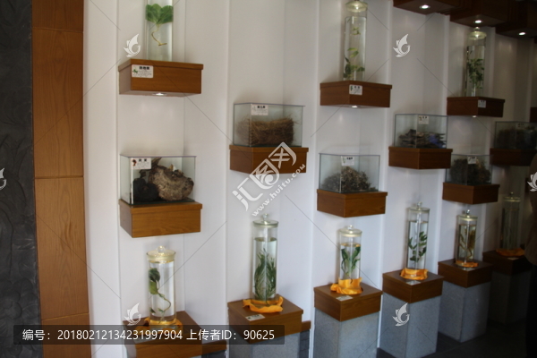 本草堂鐵皮石斛
