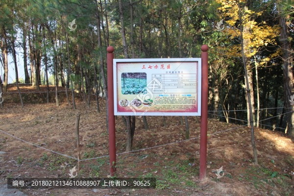 三七示范區(qū)