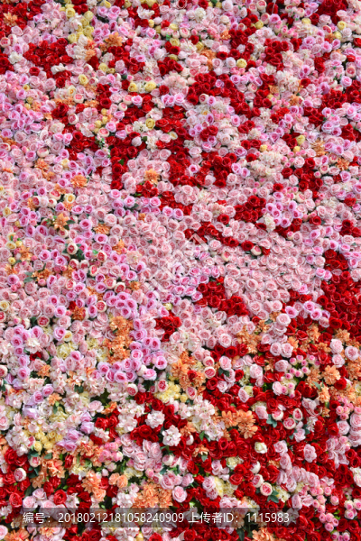 鮮花墻,玫瑰墻,鮮花背景