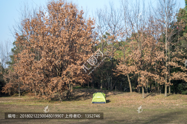 野營帳篷