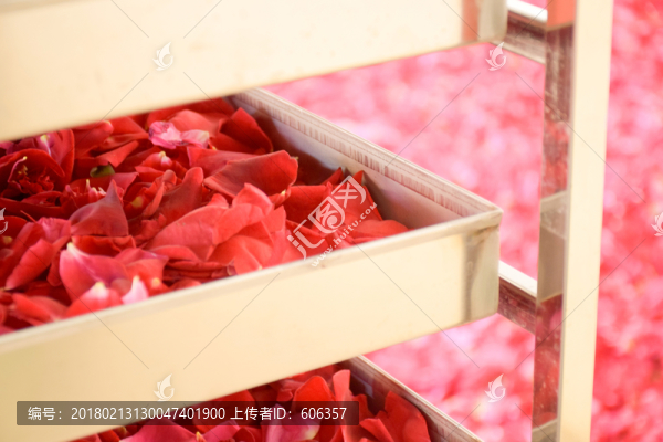 玫瑰花