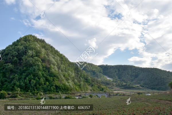 山