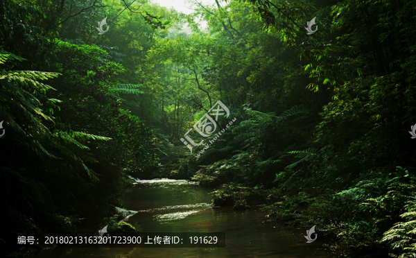 貴州赤水四洞溝,溪流