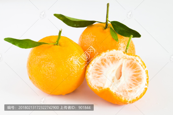 椪柑